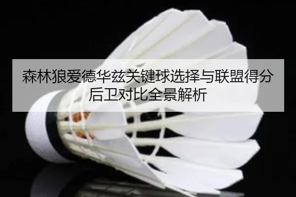 森林狼爱德华兹关键球选择与联盟得分后卫对比全景解析